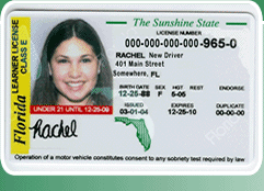 drivers-license-sample2